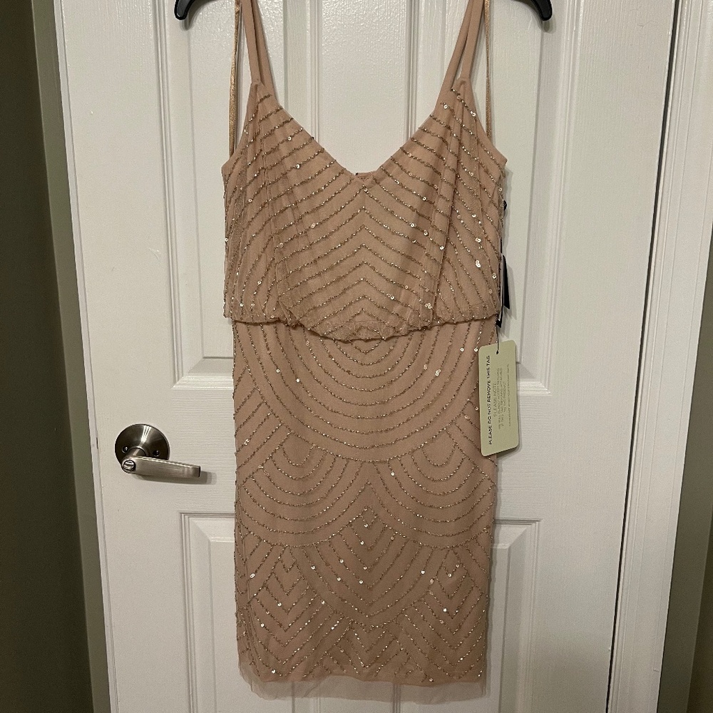 Adrianna Papell Blouson Beaded Short Dress